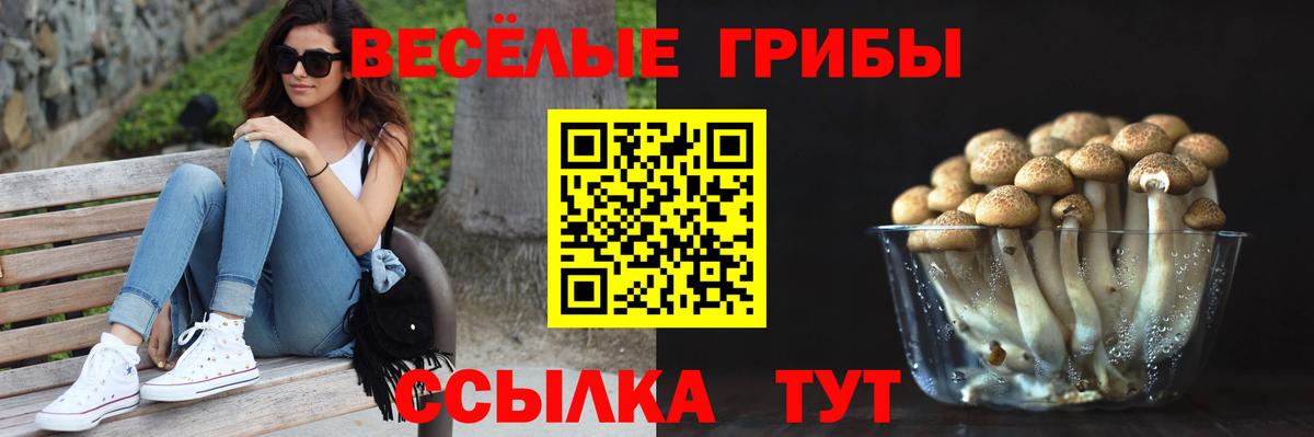 Алексеевка  Псилоцибиновые грибы GOLDEN TEACHER  Вход с VPN 